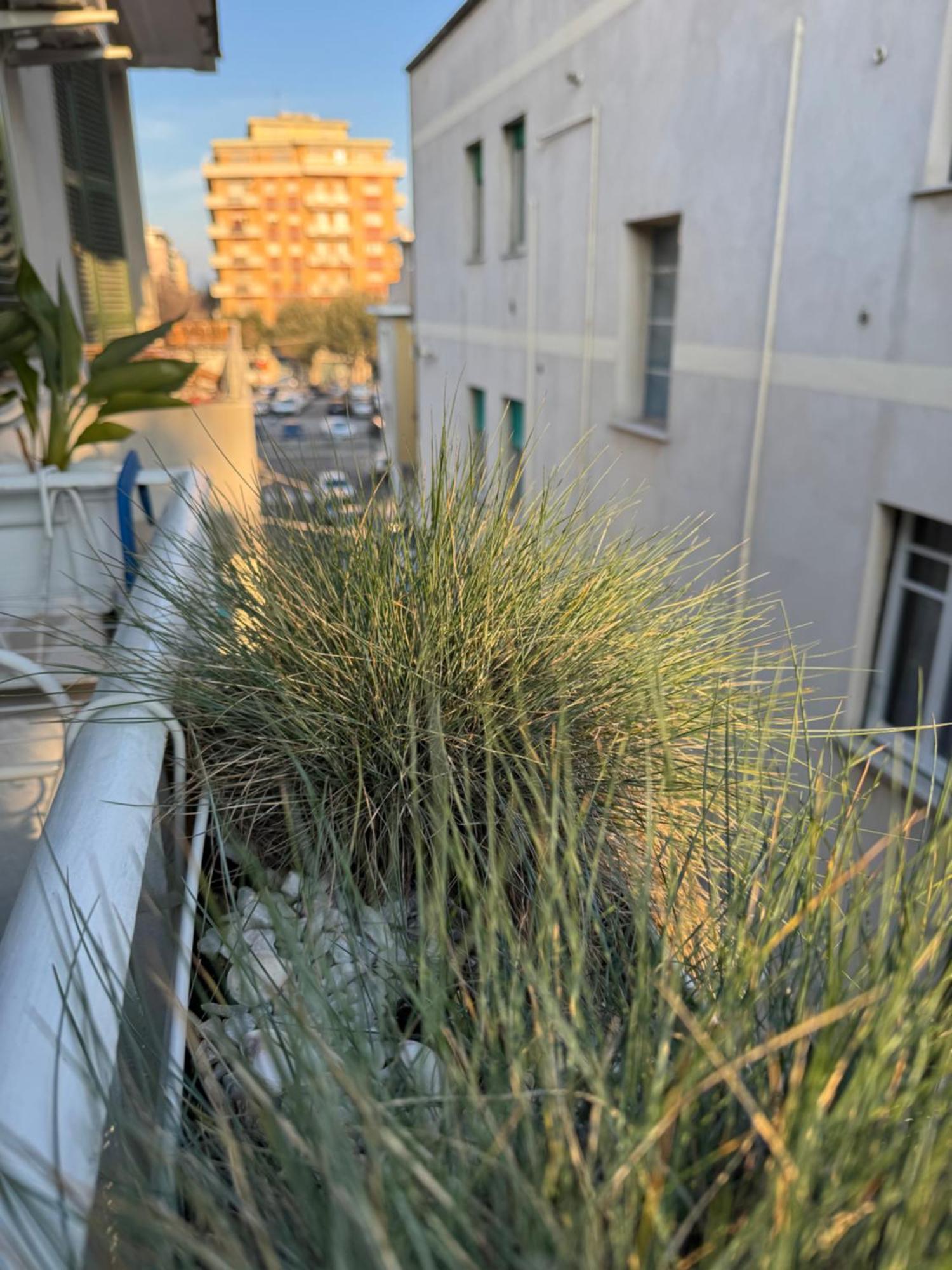 Okra Apartment Pescara Centro Extérieur photo